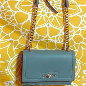Teal purse